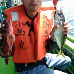 小島丸 釣果