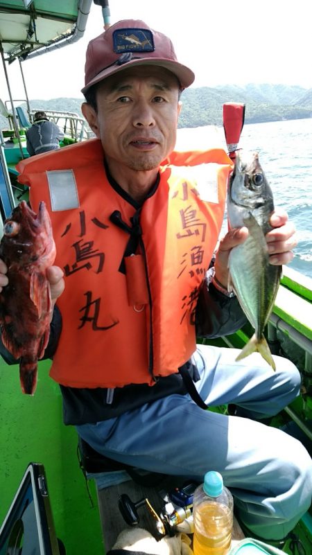 小島丸 釣果
