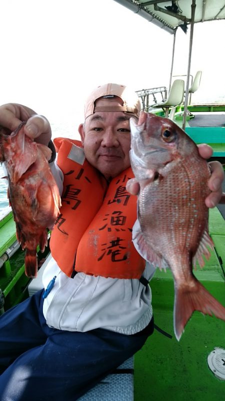 小島丸 釣果