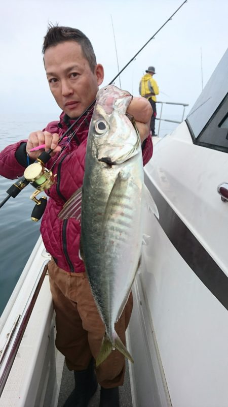 ARCADIAⅡ （アルカディアⅡ） 釣果