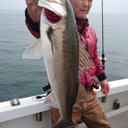 ARCADIAⅡ （アルカディアⅡ） 釣果