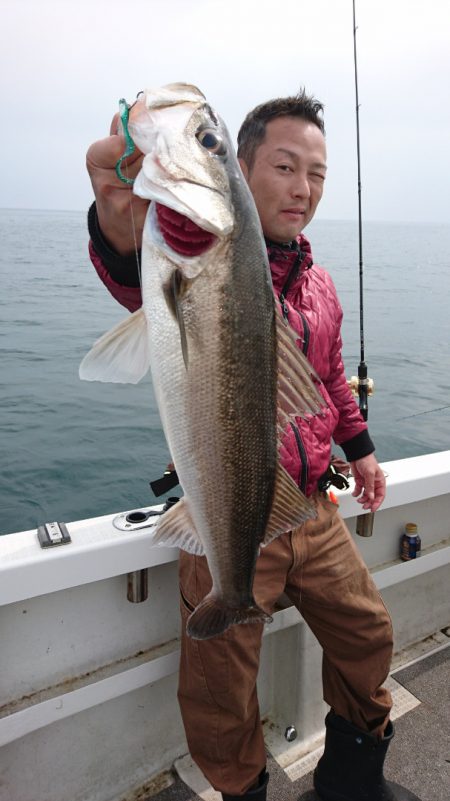 ARCADIAⅡ （アルカディアⅡ） 釣果