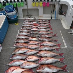 ARCADIAⅡ （アルカディアⅡ） 釣果