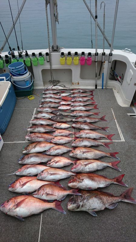 ARCADIAⅡ （アルカディアⅡ） 釣果