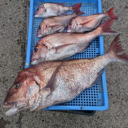 第三共栄丸 釣果