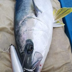 健洋丸 釣果