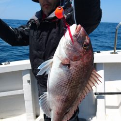 ARCADIAⅡ （アルカディアⅡ） 釣果