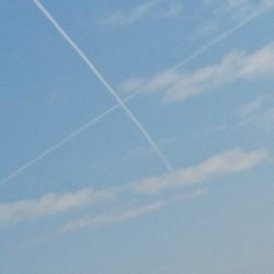 ARCADIAⅡ （アルカディアⅡ） 釣果