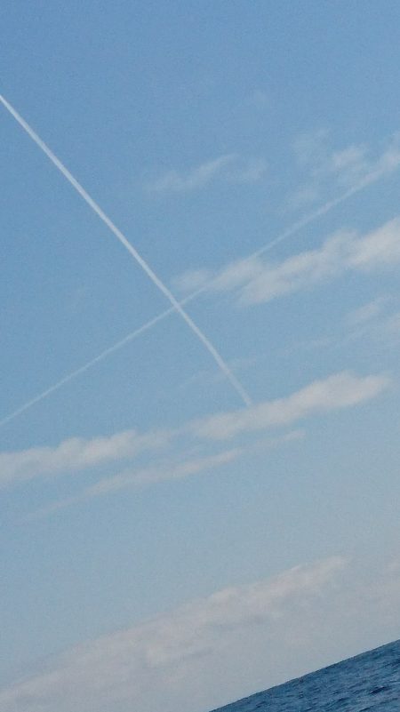 ARCADIAⅡ （アルカディアⅡ） 釣果