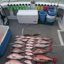 ARCADIAⅡ （アルカディアⅡ） 釣果