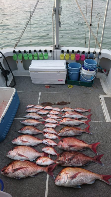 ARCADIAⅡ （アルカディアⅡ） 釣果