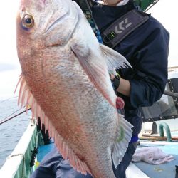 だて丸 釣果