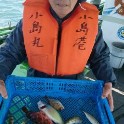 小島丸 釣果