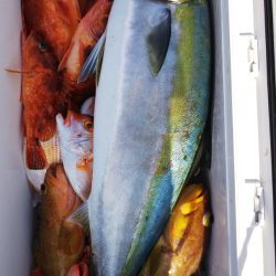 第二龍勢丸 釣果