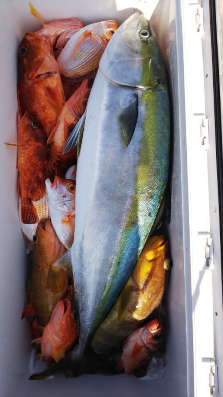 第二龍勢丸 釣果