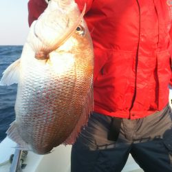 ブルドック 釣果