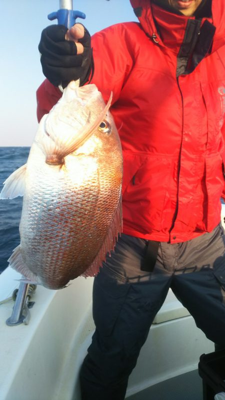 ブルドック 釣果