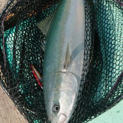 和栄丸 釣果