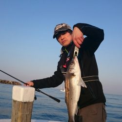 海龍丸(石川) 釣果