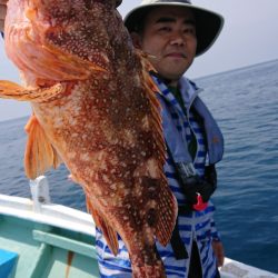 だて丸 釣果