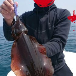 きずなまりん 釣果