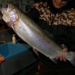 としまえんフィッシングエリア 釣果