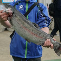 としまえんフィッシングエリア 釣果