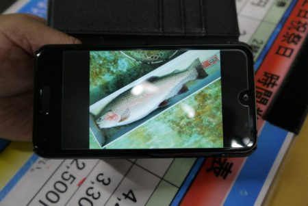 としまえんフィッシングエリア 釣果