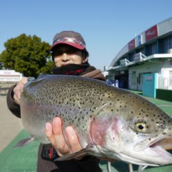 としまえんフィッシングエリア 釣果