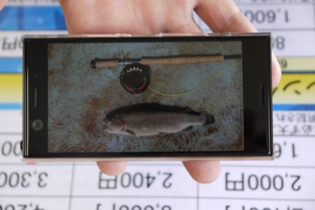 としまえんフィッシングエリア 釣果