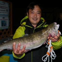 としまえんフィッシングエリア 釣果