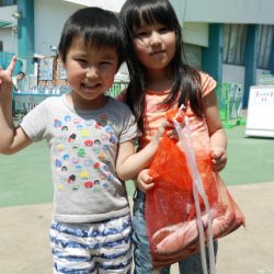 としまえんフィッシングエリア 釣果