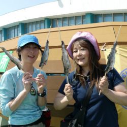 としまえんフィッシングエリア 釣果