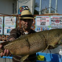 としまえんフィッシングエリア 釣果