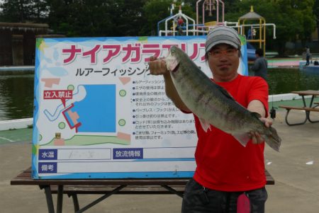 としまえんフィッシングエリア 釣果