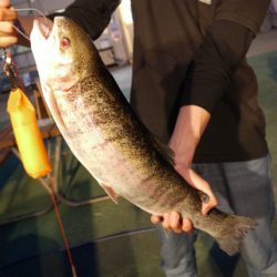 としまえんフィッシングエリア 釣果