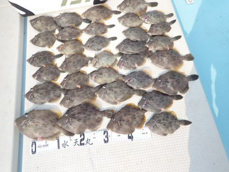 水天丸 釣果