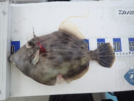 水天丸 釣果