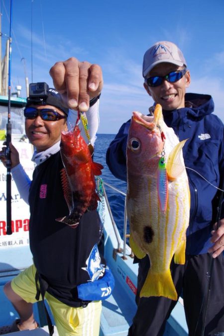 渡船屋たにぐち 釣果