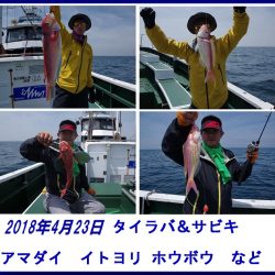 Big One　ビッグワン 釣果