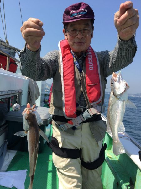 金沢八景鴨下丸 釣果