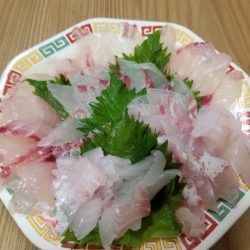 Soyamaru 釣果