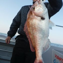 ブルースフィッシングサービス 釣果