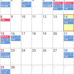 遊漁船 家入 釣果