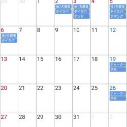 遊漁船 家入 釣果