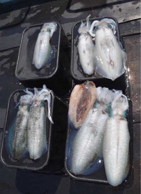 渡船屋たにぐち 釣果