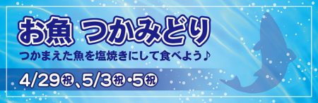 としまえんフィッシングエリア 釣果