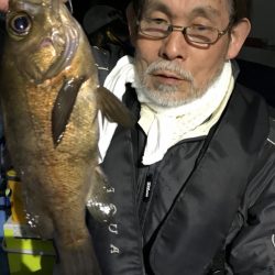 ヤザワ渡船 釣果