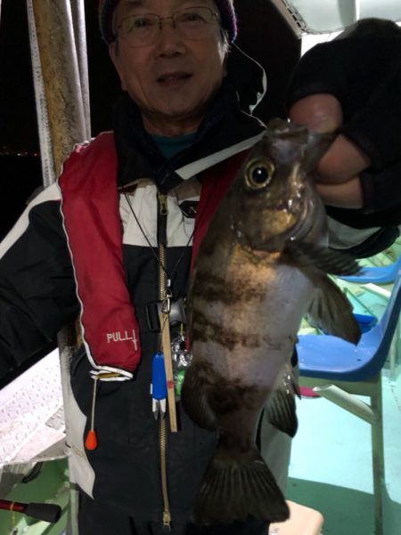 ヤザワ渡船 釣果