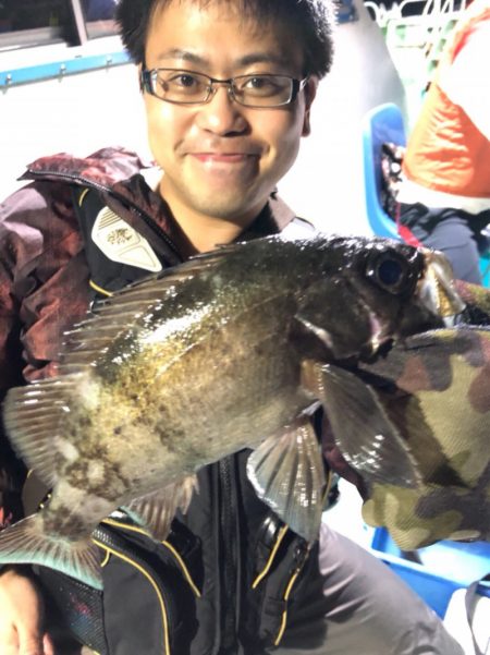 ヤザワ渡船 釣果